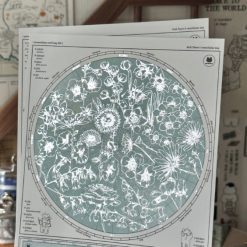 Mewmewbeam Postcard - World Map 006